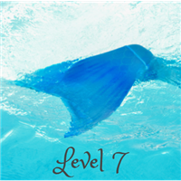 Level 7 Badge