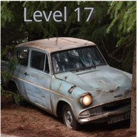 Level 17 Badge