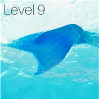 Level 9 Badge