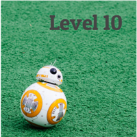 Level 10 Badge